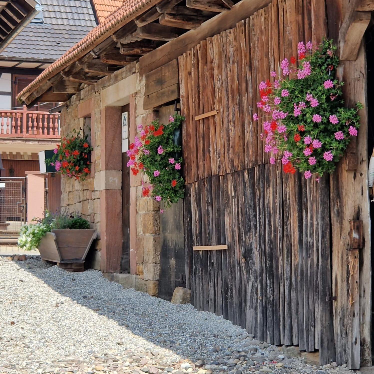 Preuschdorf Chambres D'Hotes Chez Linda Stephane Le Passe Compose מראה חיצוני תמונה